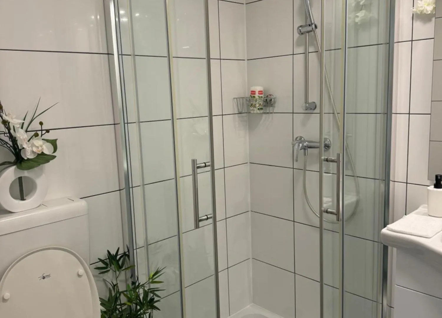 Eine Schoene Wohnung Bei Der Erlenmatte Bázel Apartman